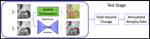 Deep Learning for Detecting Progressive Changes in Alzheimer’s Disease